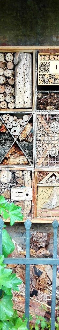 Alter Botanischer Garten-基尔