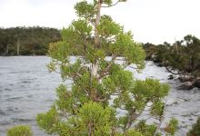 Lake Esperance景点图片