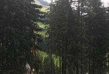 Hochseilpark景点图片