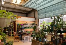 Island Garden Center购物图片