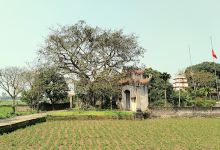Chùa Thượng景点图片