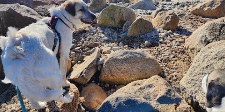 Demarest Lloyd State Park