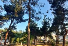 çamlık park景点图片
