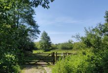 Darsham Marshes景点图片