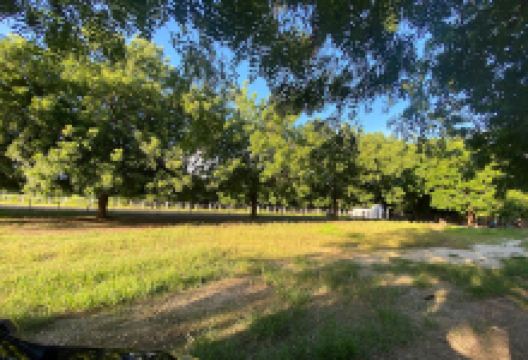 Parque Maria Inês景点图片