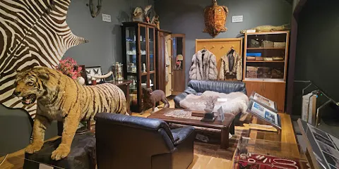 兵庫縣立人與自然博物館