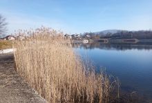 Jezero Basigovci-ODMARALISTE景点图片