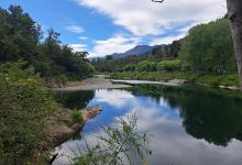 Totara Flat Picnic Area景点图片