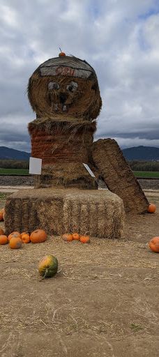 Davis Family Farm-本顿县