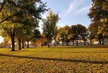 Memorial Park景点图片