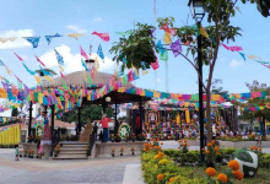 Central Park景点图片