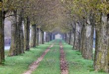 Overdiepse Polder景点图片