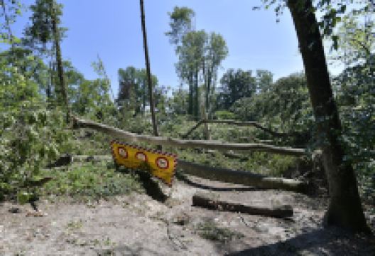 Plage du Coulet景点图片