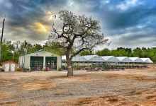 TaraCotta Garden Outlet购物图片