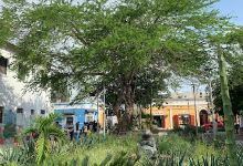 Las Ranas Park景点图片