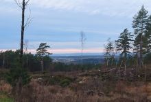 Norsk Retrieverklubb avd. Østfold景点图片