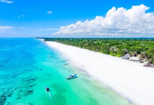 East Africa Guide购物图片