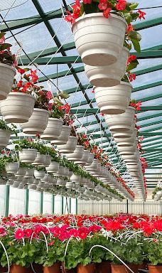 Kiss Virágkertészet, Békéscsaba-贝凯什乔包