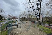 Elmsford Dog Park景点图片