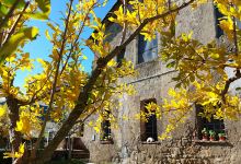 Convento Sant'Andrea景点图片