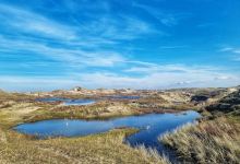 Noordhollands Duinreservaat景点图片