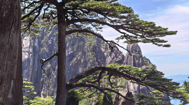 黃山風(fēng)景區(qū)+宏村景區(qū)+九華山風(fēng)景區(qū)5日4晚私家團(tuán)