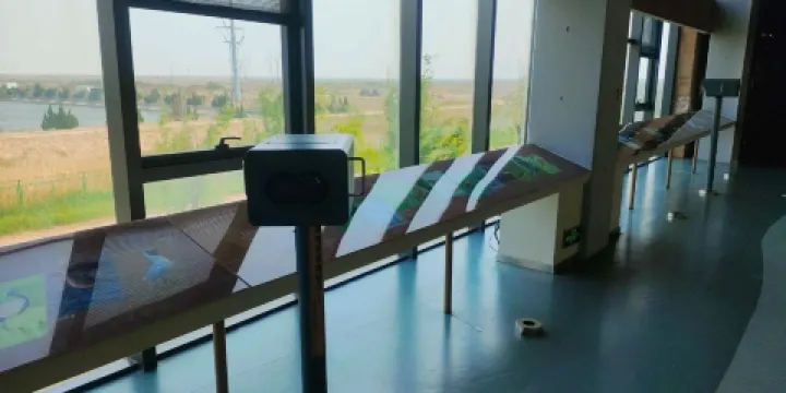 黃河三角洲鳥類博物館-觀鳥平台