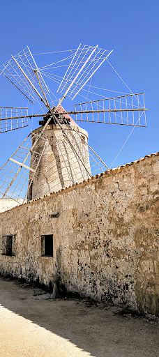 Salt Museum-特拉帕尼省