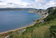 Seatoun Heights Lookout景点图片