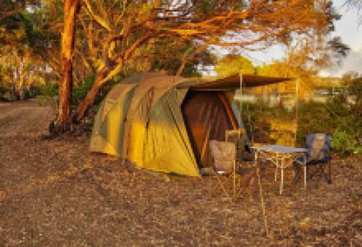 American River Campground景点图片