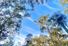 Auchmuty Courtyard景点图片