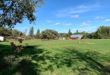 Spruce Woods Equestrian Campground景点图片