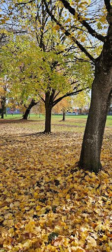 Willamalane Park-斯普林菲尔德