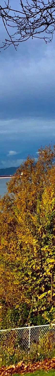 英吉利湾-温哥华