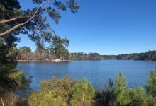 Huntsville State Park景点图片