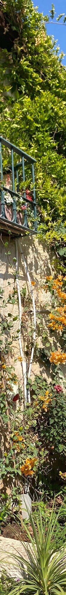 蒙蒂菲奥里风车-耶路撒冷