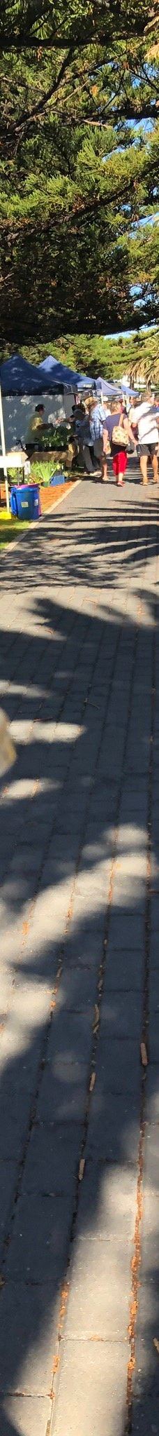 维克多港-维克多港