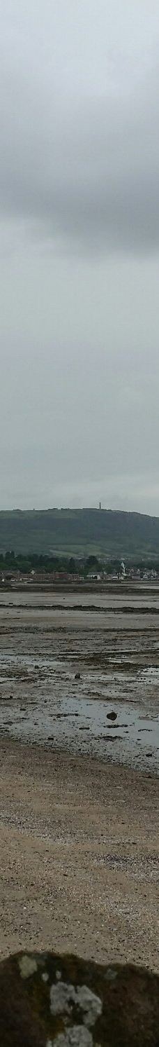 Hazelbank Park-纽敦阿比