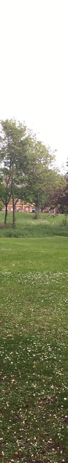 Albert Park-米德尔斯堡