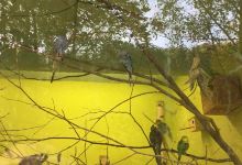 Suhl Zoo景点图片