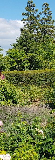 Geografisk Have-科灵