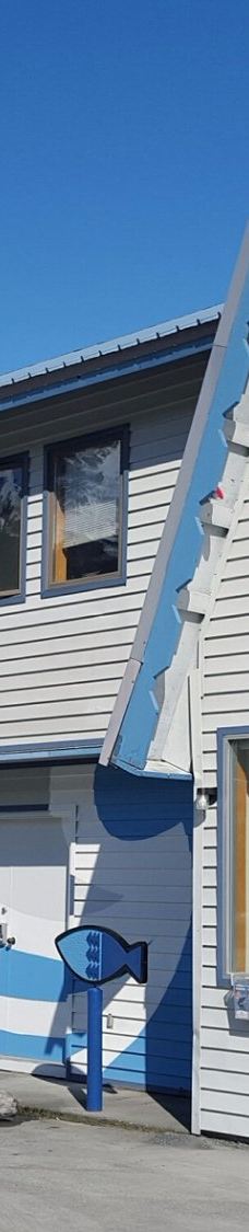 Kenai Fjords Tours-西沃德