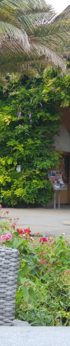 海德堡动物园-海德堡