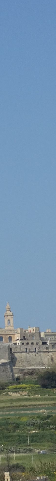 圣保禄主教座堂-姆迪纳