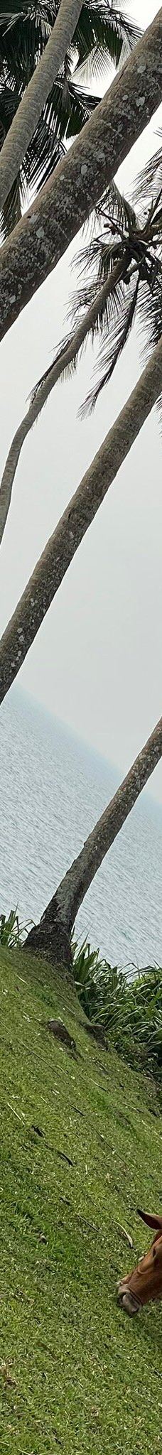 Barberyn Island Lighthouse-贝鲁沃勒