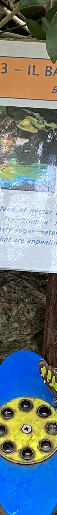 Casa delle Farfalle-米兰马瑞提那