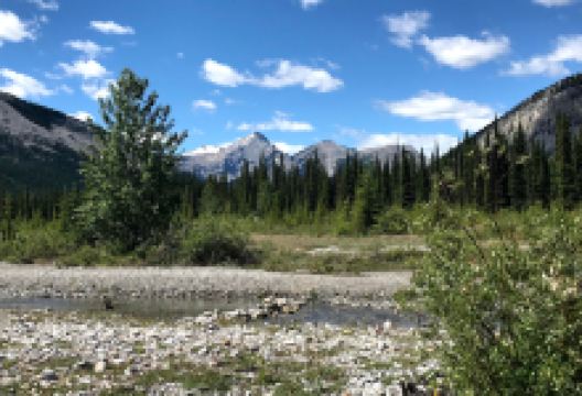 Cobble Flats Recreation Area景点图片