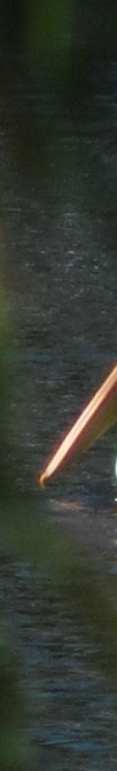 Grand Lake O' the Cherokees-马尼拉市