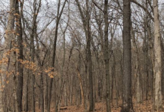 Powder Valley Conservation Nature Center景点图片