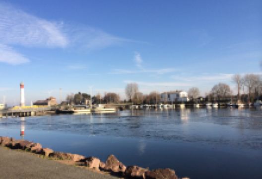 Marché aux poissons购物图片